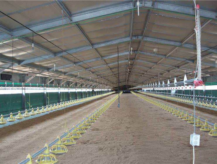 家禽舍鋼結構造價